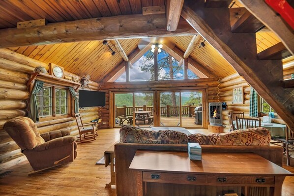 TV, fireplace, books
