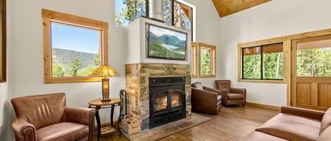 Een televisie, een open haard, een dvd-speler en boeken