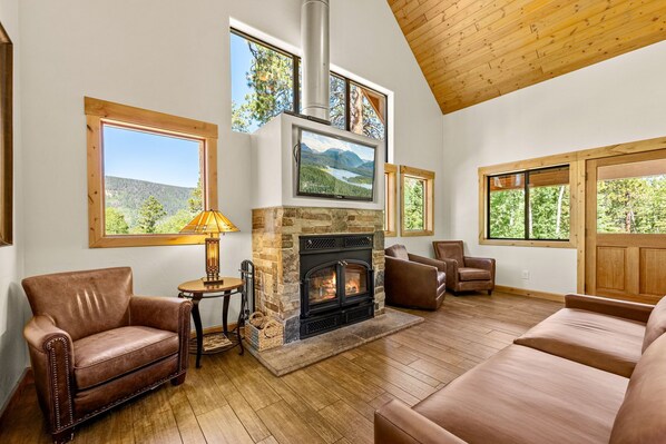 TV, fireplace, DVD player, books