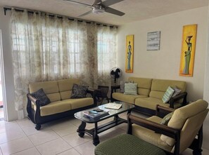 Téléviseur, livres, chaîne audio