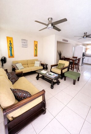 Älytelevisio, kirjoja, stereot