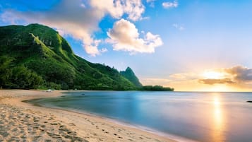 Serviettes de plage
