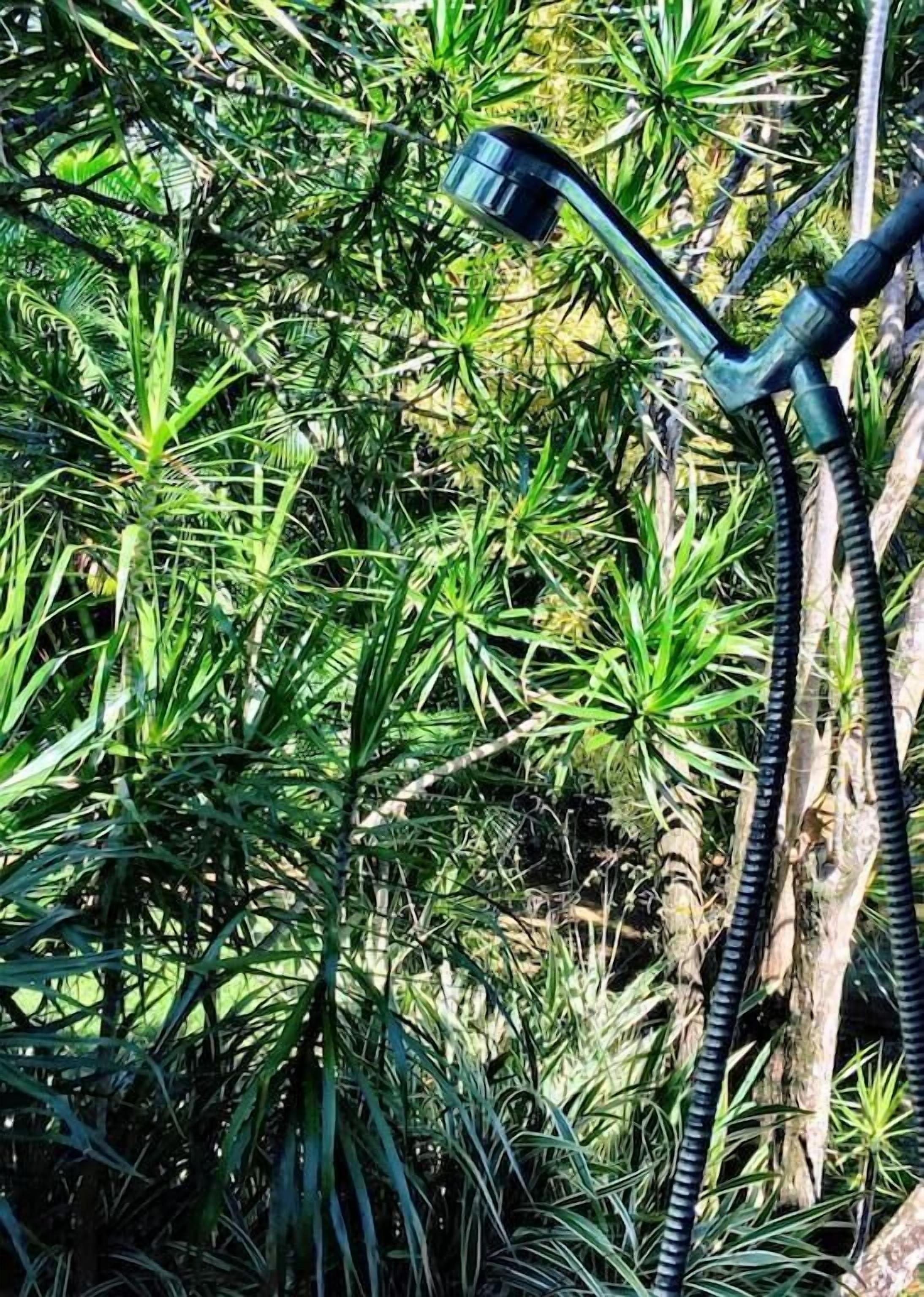 A garden hose with a nozzle, surrounded by dense green foliage.