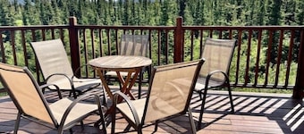 5 Star Denali Park Spacious Family Home