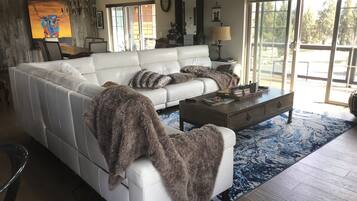 TV connectée, cheminée, jeux vidéo, lecteur de DVD