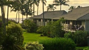 Ein Resort mit mehreren Gebäuden, einem gepflegten Rasen und Palmen.