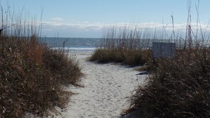 En sandstig som leder ner till stranden, omgiven av högt gräs.