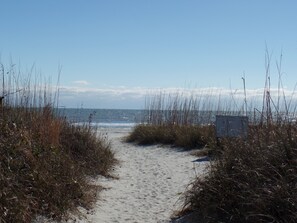 Plage, chaises longues, serviettes de plage