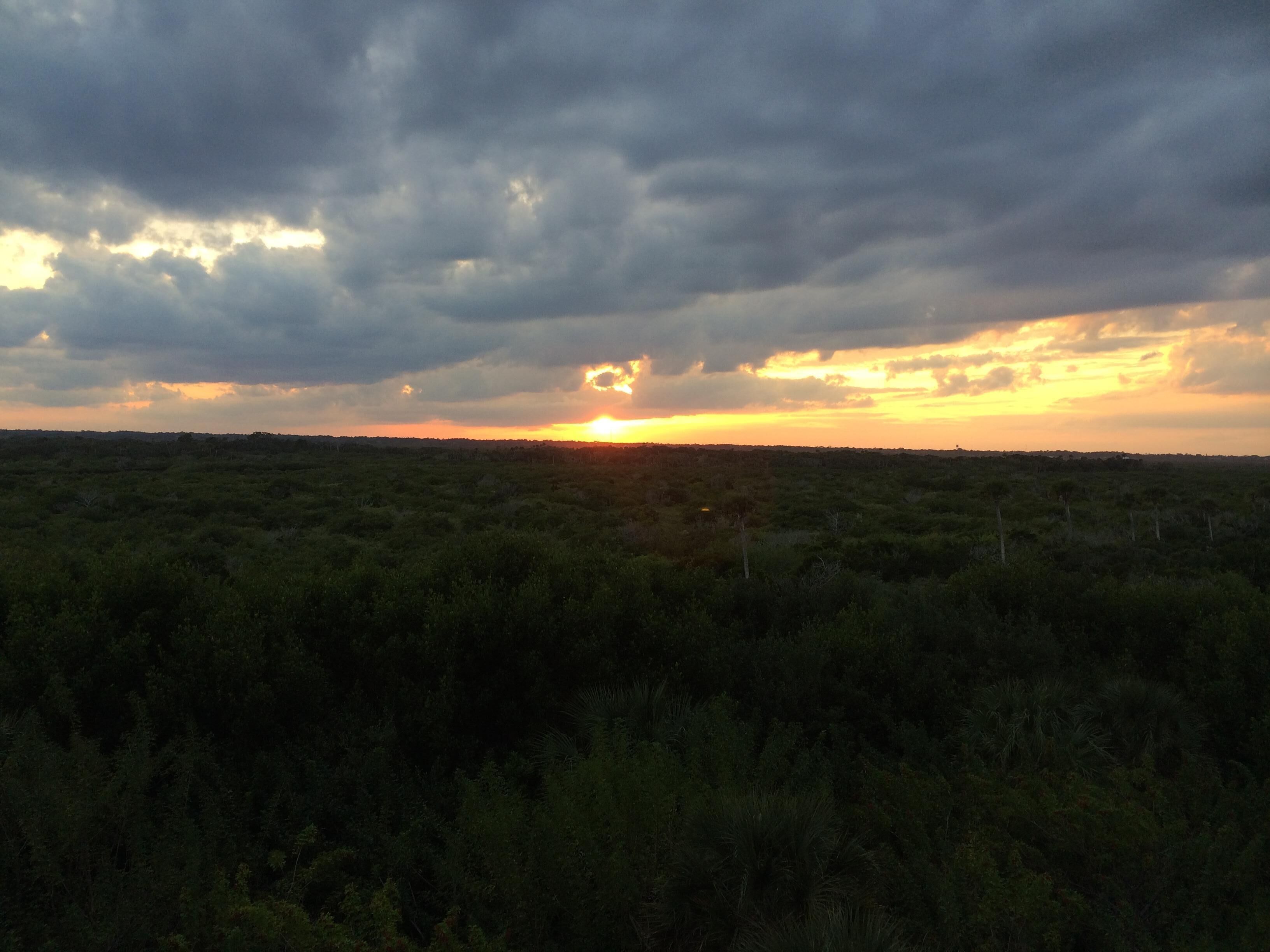 Eine Landschaft mit einem Sonnenuntergang über einem dichten, grünen Wald.