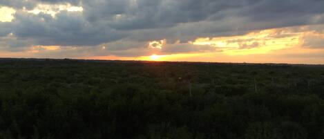 Eine Landschaft mit einem Sonnenuntergang über einem dichten, grünen Wald.