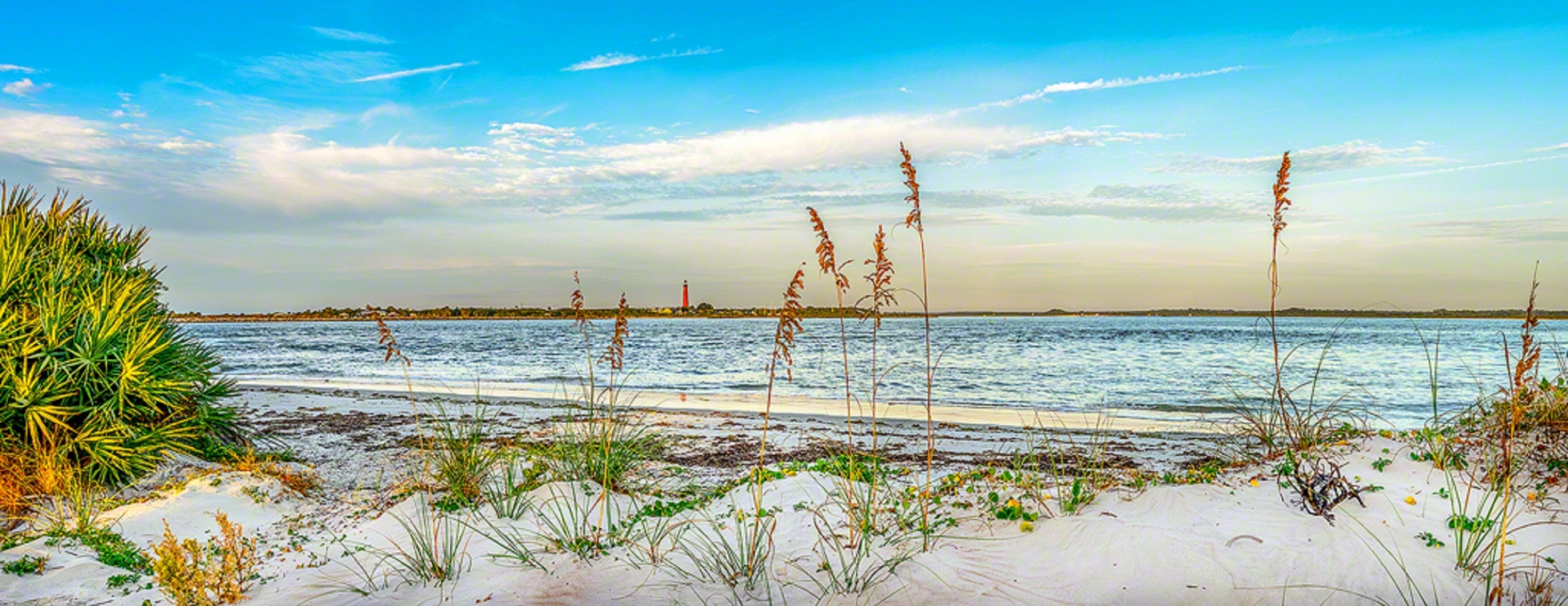 A beach with sand, seaweed, and tall grasses.