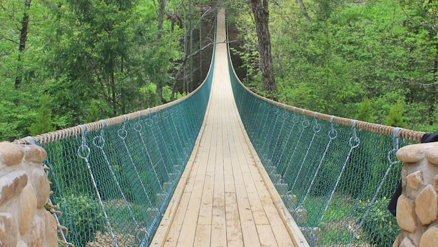Un puente colgante de madera con una barrera de seguridad de malla verde, rodeado de un bosque denso.