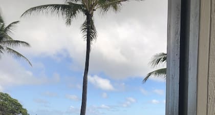 ¡No puedes acercarte más a la playa que aquí!