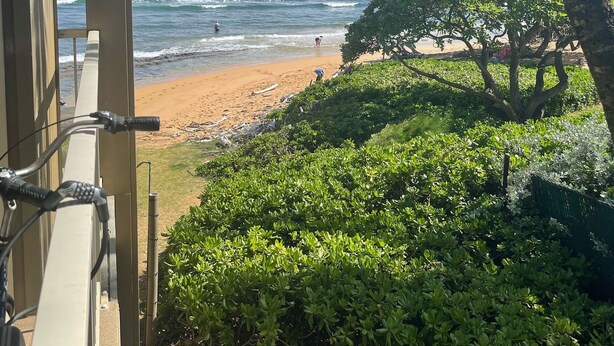 Blick auf einen Strand mit Wellen, eine Person spaziert und ein Baum.