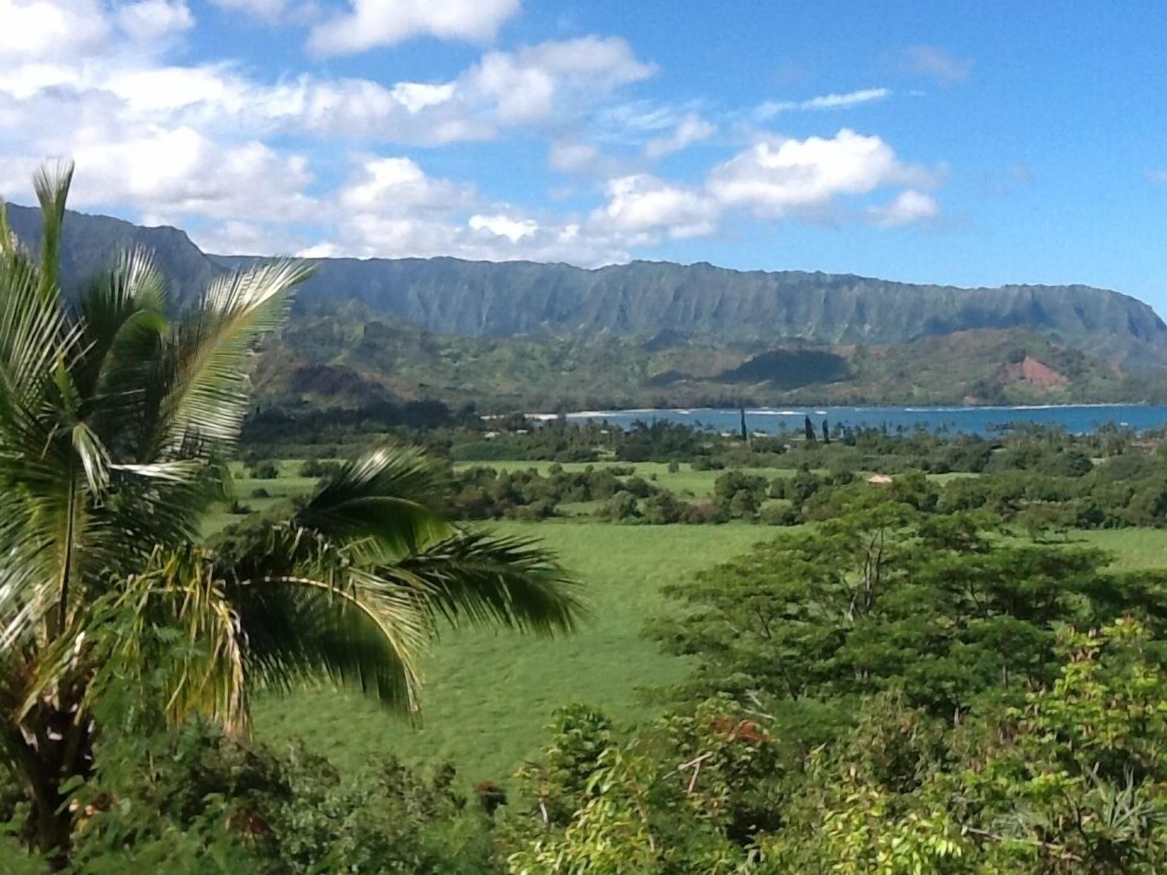 A lush green landscape with a mountain range in the background and a clear sky.