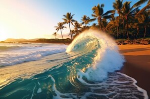 Une plage avec de grandes vagues, des palmiers et un coucher de soleil.