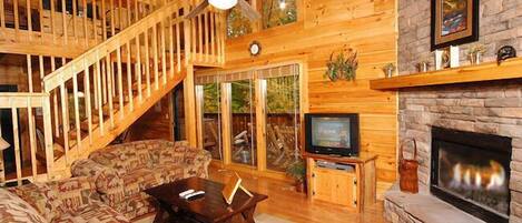 Télévision, cheminée, jeux vidéo, lecteur de DVD