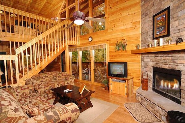 TV, fireplace, video games, DVD player