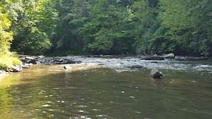 Une rivière qui traverse une zone boisée, avec des rochers et une eau claire.