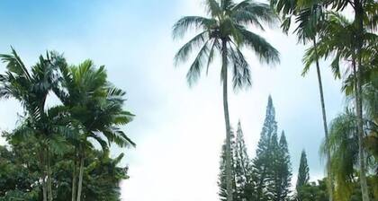 The White Lotus Oceanfront Hale