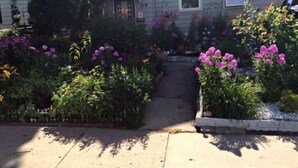 A residential house with a front yard featuring a variety of plants and flowers. - 2 bedroom, 1 bath apartment . Walk to Mayo, trails, parks, shopping, restaurants (Rochester)