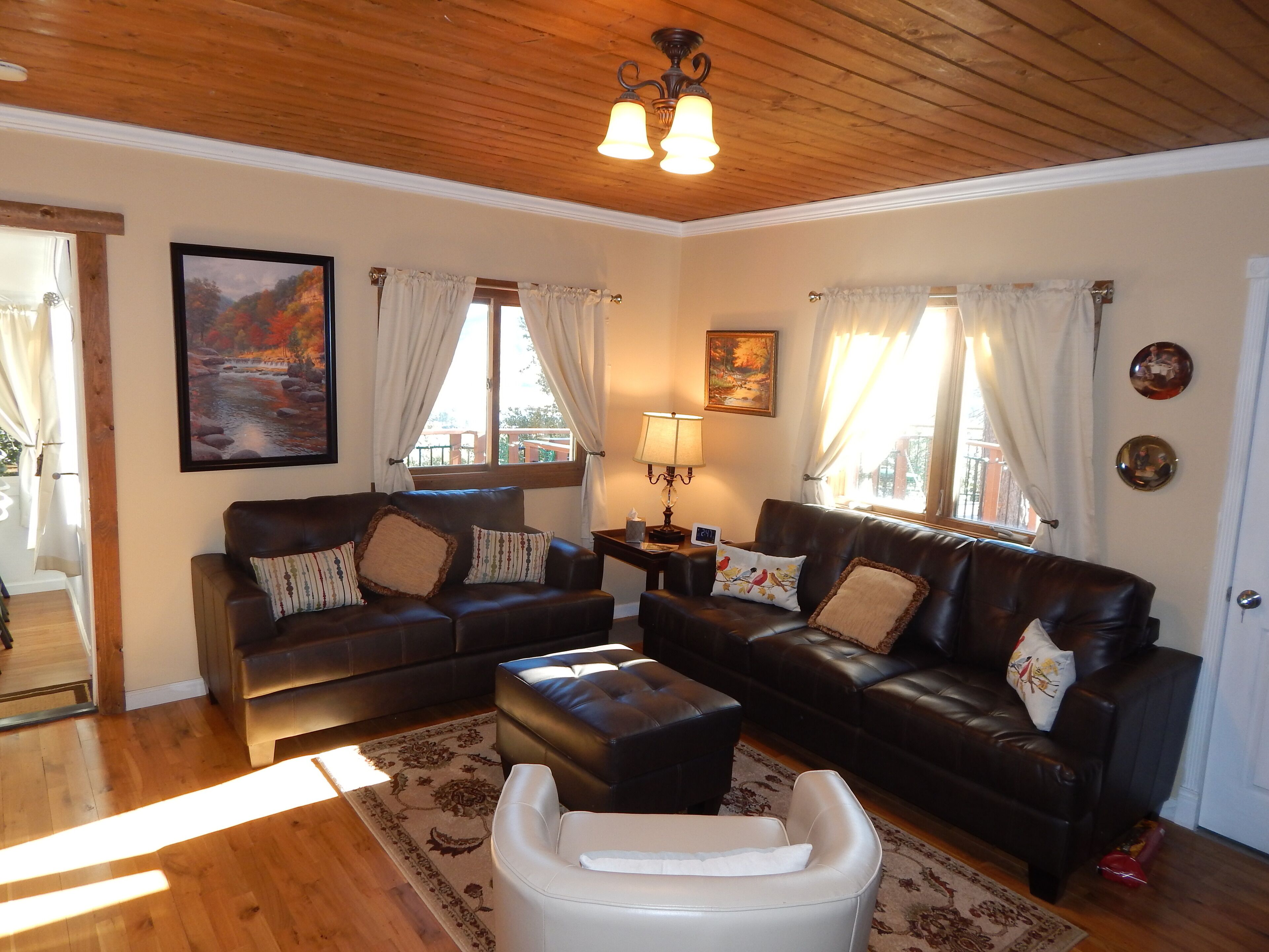 智能电视、壁炉、DVD 播放器、书