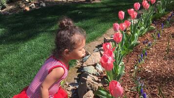 Children can play among vibrant flowers and lush greenery in this serene garden setting.