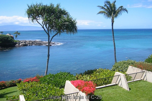 View from the Lanai of the Unit