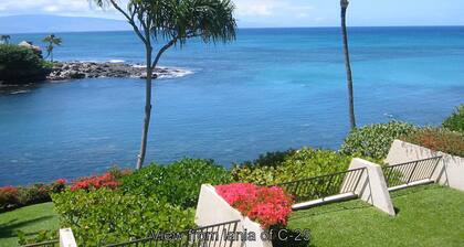 Ocean Front Napili Point C25 Great Views Turtles Whales & Sunsets from Lanai A/C