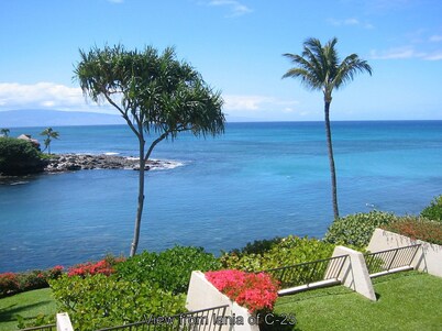 Ocean Front Napili Point C25 Great Views Turtles Whales & Sunsets from Lanai A/C
