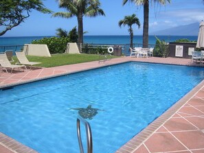 Una piscina con una silla de salvavidas, sillas de descanso y vista al océano.