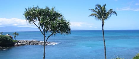 A view from lania of C-25 with a clear ocean view, palm trees, and a rocky shoreline.