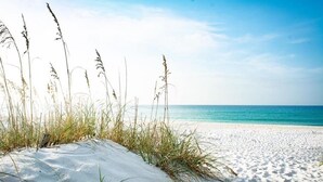 Ein Strand mit Dünen und hohem Gras im Vordergrund, der zu einem klaren, blauen Ozean führt.