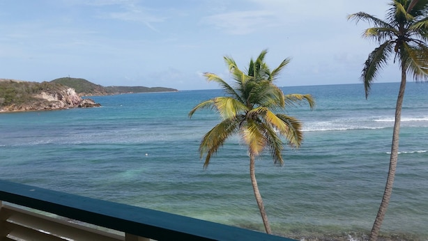 A view of a beach with clear blue water and a palm tree in the foreground.