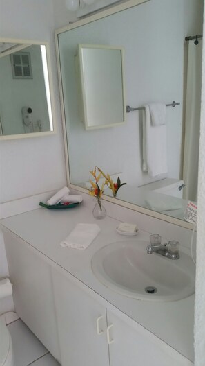 Suihkun ja ammeen yhdistelmä, hiustenkuivaaja, pyyhkeet