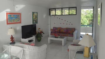 TV, DVD player, stereo