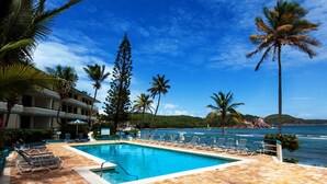 A pool area with lounge chairs and palm trees, overlooking the ocean.