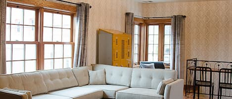 TV connectée, cheminée, livres, médiathèque