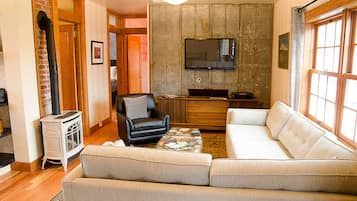 TV connectée, cheminée, livres, médiathÚque