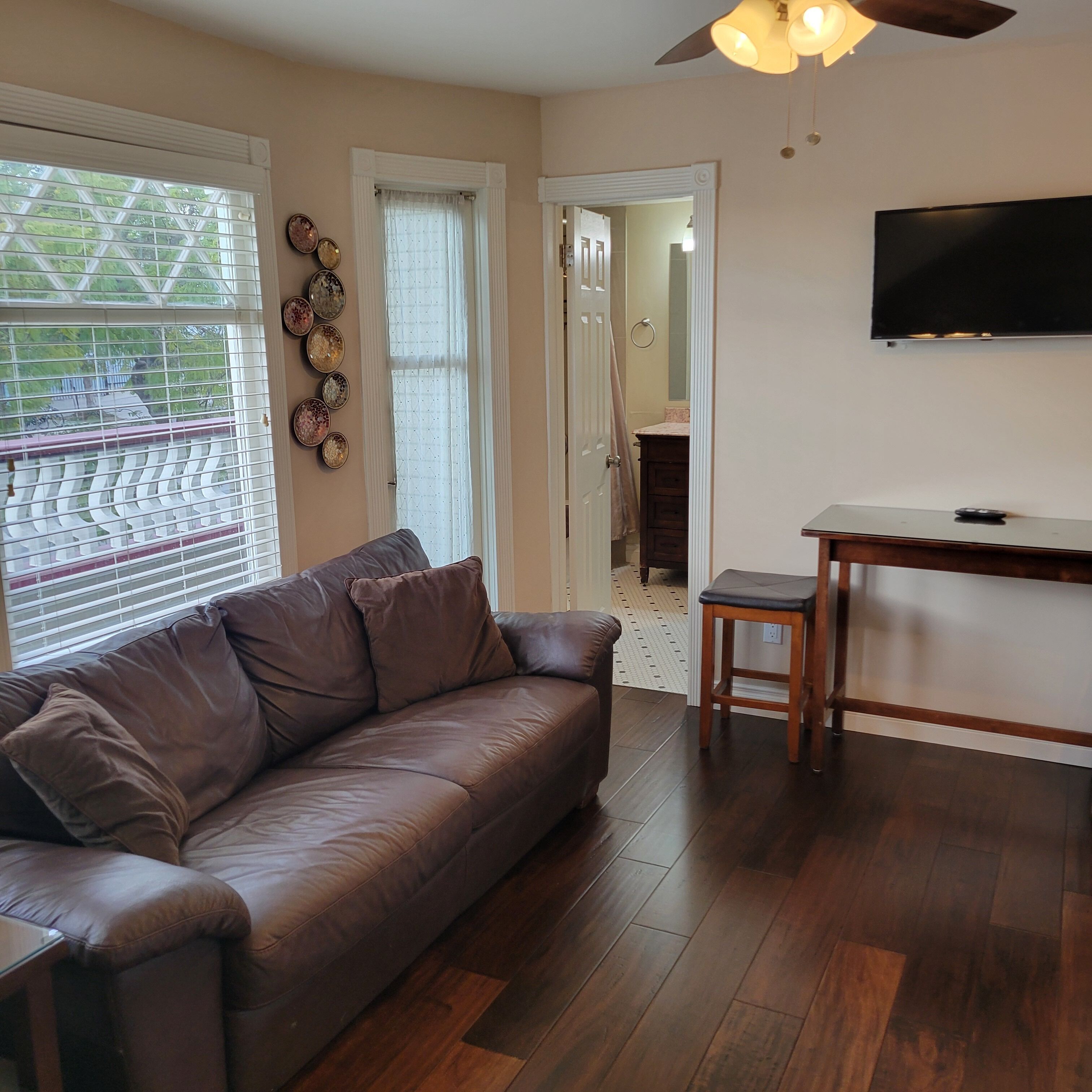 Smart TV, fireplace, books
