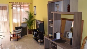 Un salon avec un téléviseur, une bibliothèque, une plante en pot et un fauteuil.