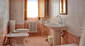 Combined shower/tub, hair dryer, bidet, towels
