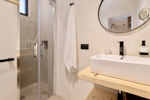 Shower, hair dryer, bidet, towels