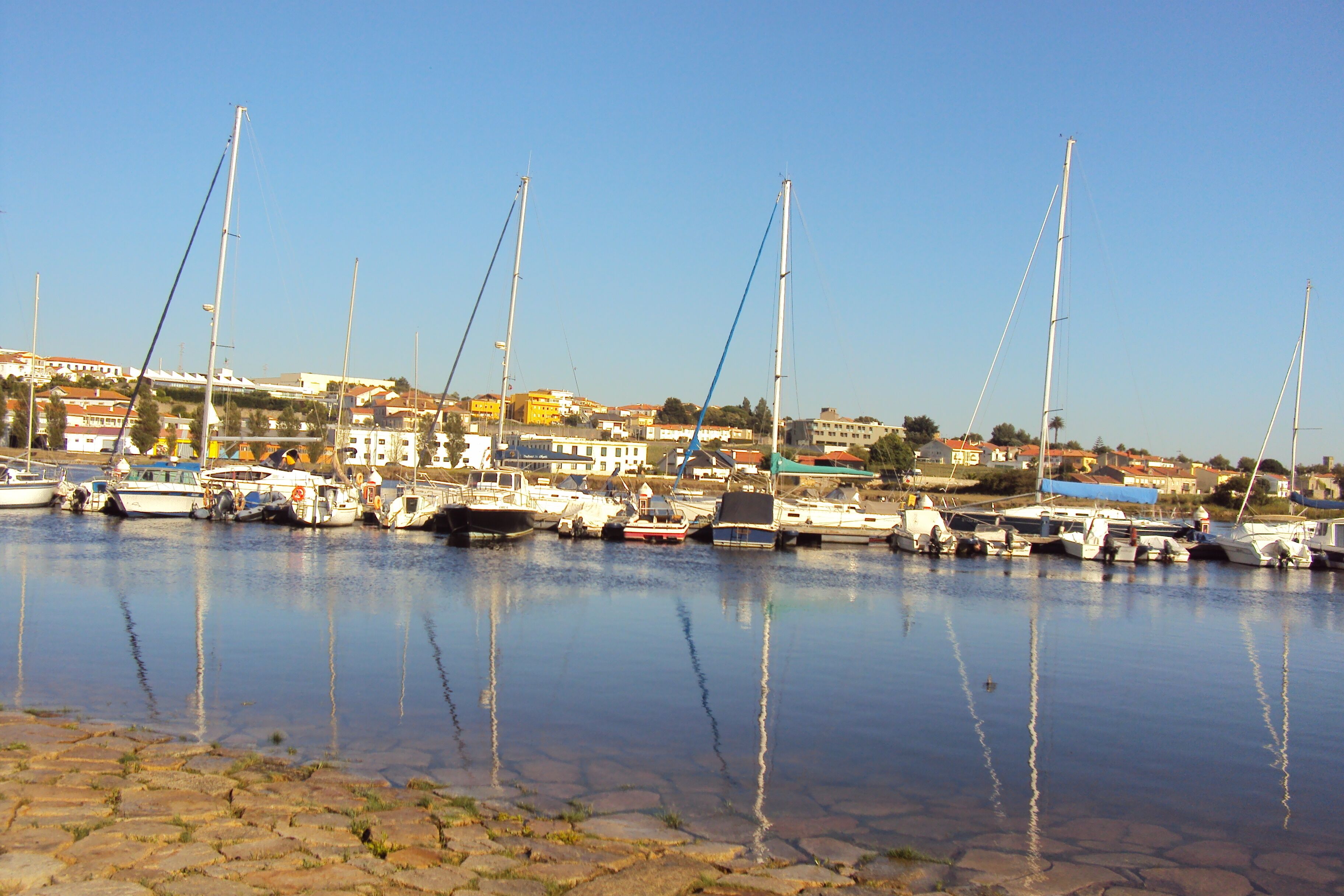 A marina with multiple boats docked, a clear sky, and buildings in the background.