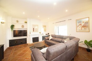 Smart TV, fireplace, video game console, DVD player