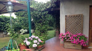 Un sendero de jardín que conduce a un edificio con ventana de celosía de madera, rodeado de macetas con plantas y un farol.