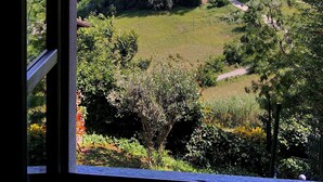 Une vue à travers une fenêtre sur un paysage verdoyant et luxuriant, avec une route sinueuse et des arbres denses.
