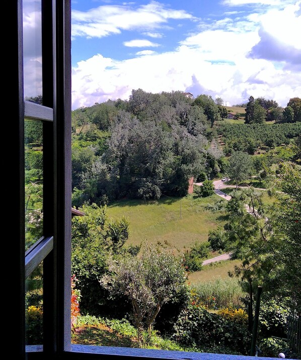 A view through a window of a lush green landscape with a winding road and dense trees.
