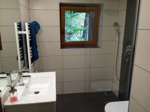 Shower, hair dryer, towels