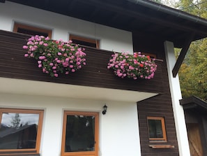 Detalle exterior